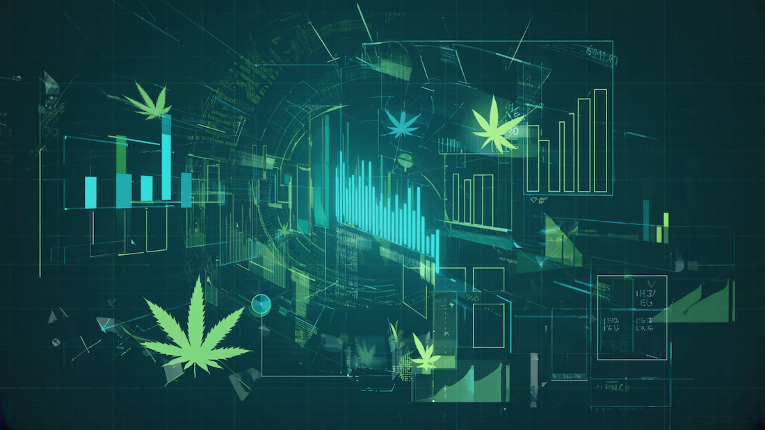 Indoor cannabis cultivation facility with healthy green plants ready for harvest — scalable investment in legal cannabis production