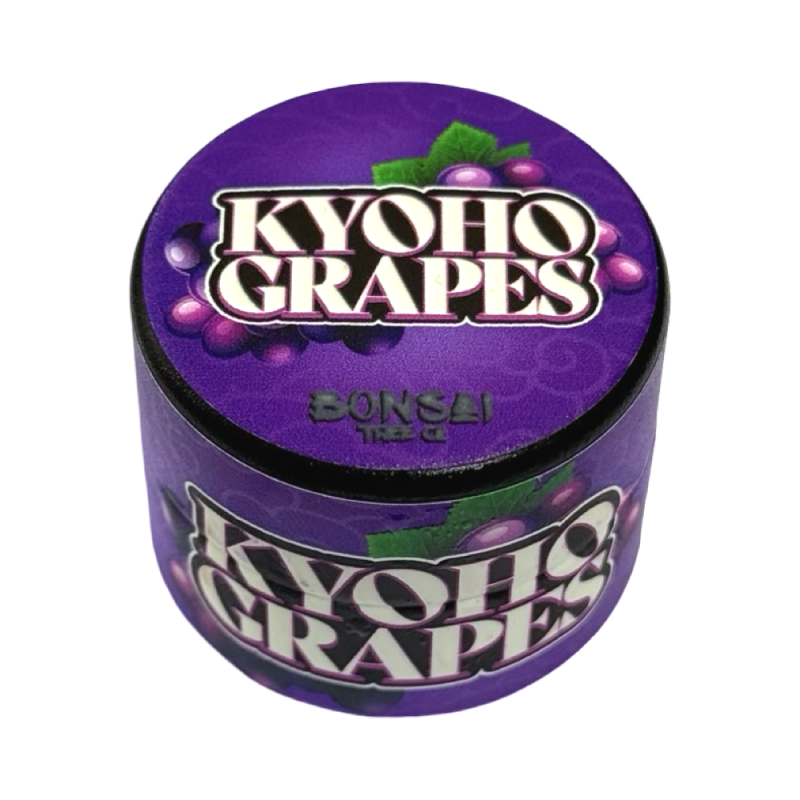 Bonsai Tree Co. Kyoto Grapes 2G Cold Cure Rosin Front