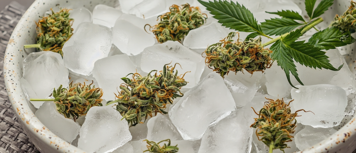 Gen4 a scene of cannabis flowers mixed with copious ice in a basin a-2, 3495298978
