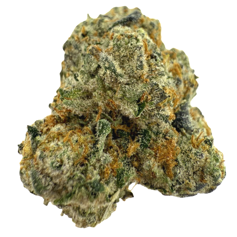 Oil & Eve Cereal Milk Indoor Flower front