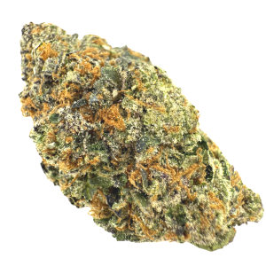 Baccio Indoor THCA Flower 28g