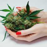 clean-cannabis-flower-atlanta-oil-and-eve.jpg