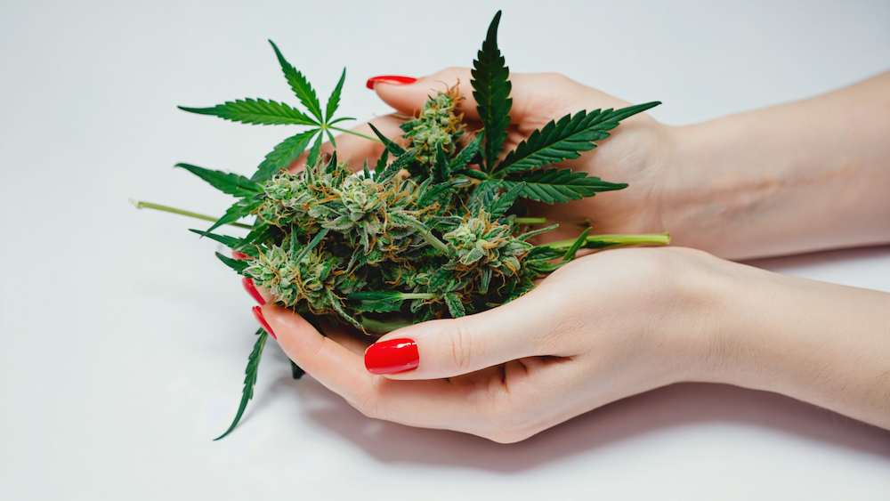 clean-cannabis-flower-atlanta-oil-and-eve.jpg