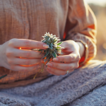 Same‑day delivery of clean, pesticide‑free prerolls in Atlanta from Oil & Eve.
