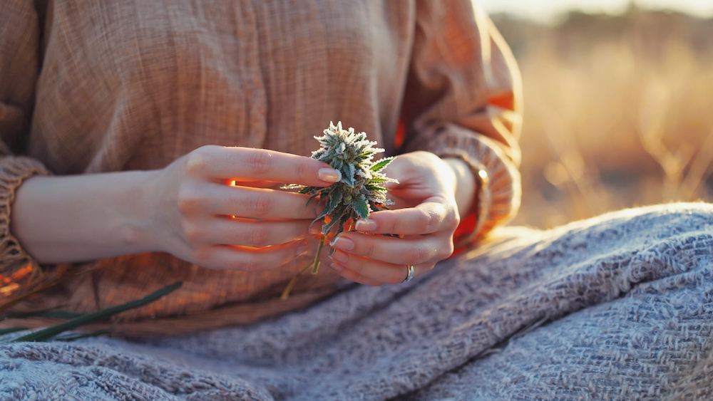 Same‑day delivery of clean, pesticide‑free prerolls in Atlanta from Oil & Eve.