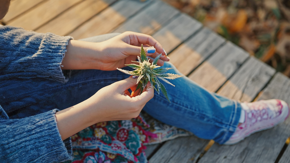 Atlanta skyline and clean cannabis dispensary near me; Oil & Eve offers pesticide-free flower.