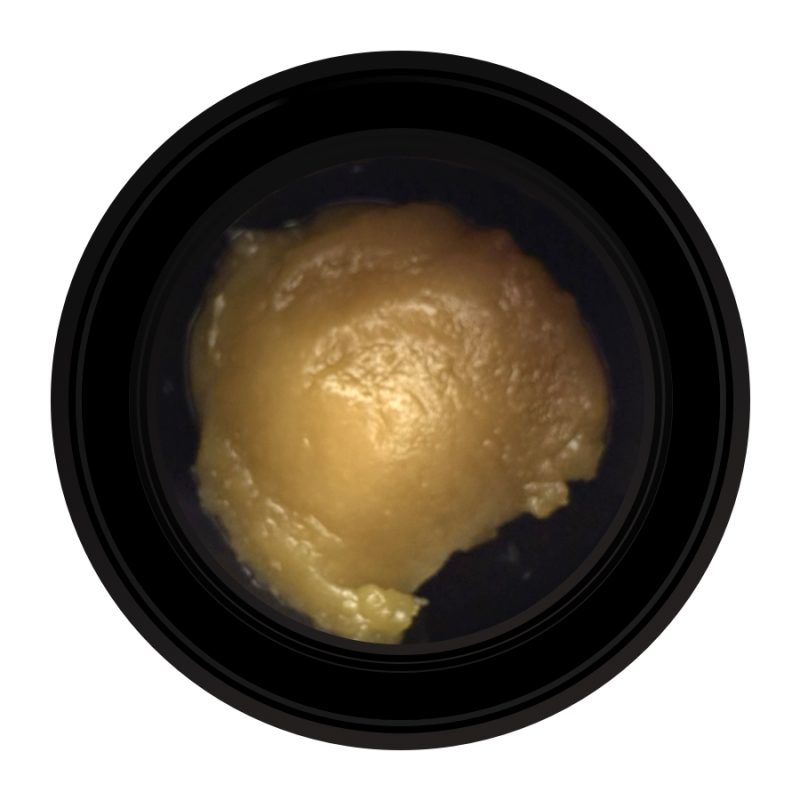 Honey Trop Cold Cure Rosin – close-up texture