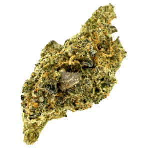 Banana Gelato Tier 1 Indoor Flower Bonsai Atlanta