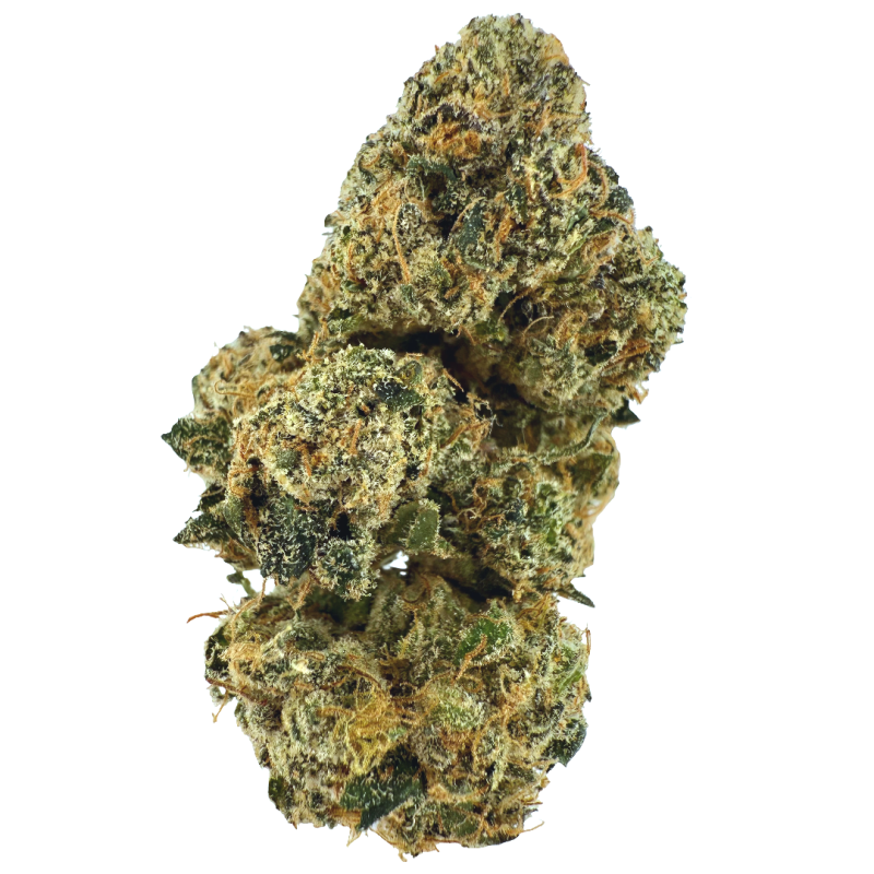 Lemon Cherry Gelato Tier 2 Indoor Flower Oil & Eve Atlanta